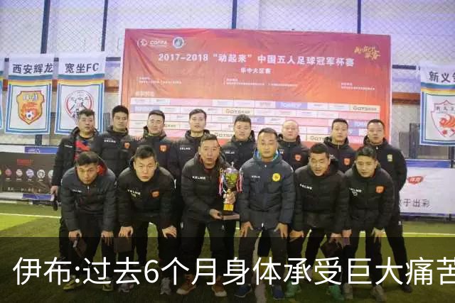 伊布:过去6个月身体承受巨大痛苦 只为帮球队夺冠