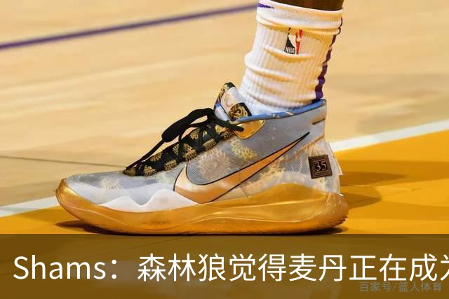 Shams：森林狼觉得麦丹正在成为明星 因此补强控卫的需求更迫切